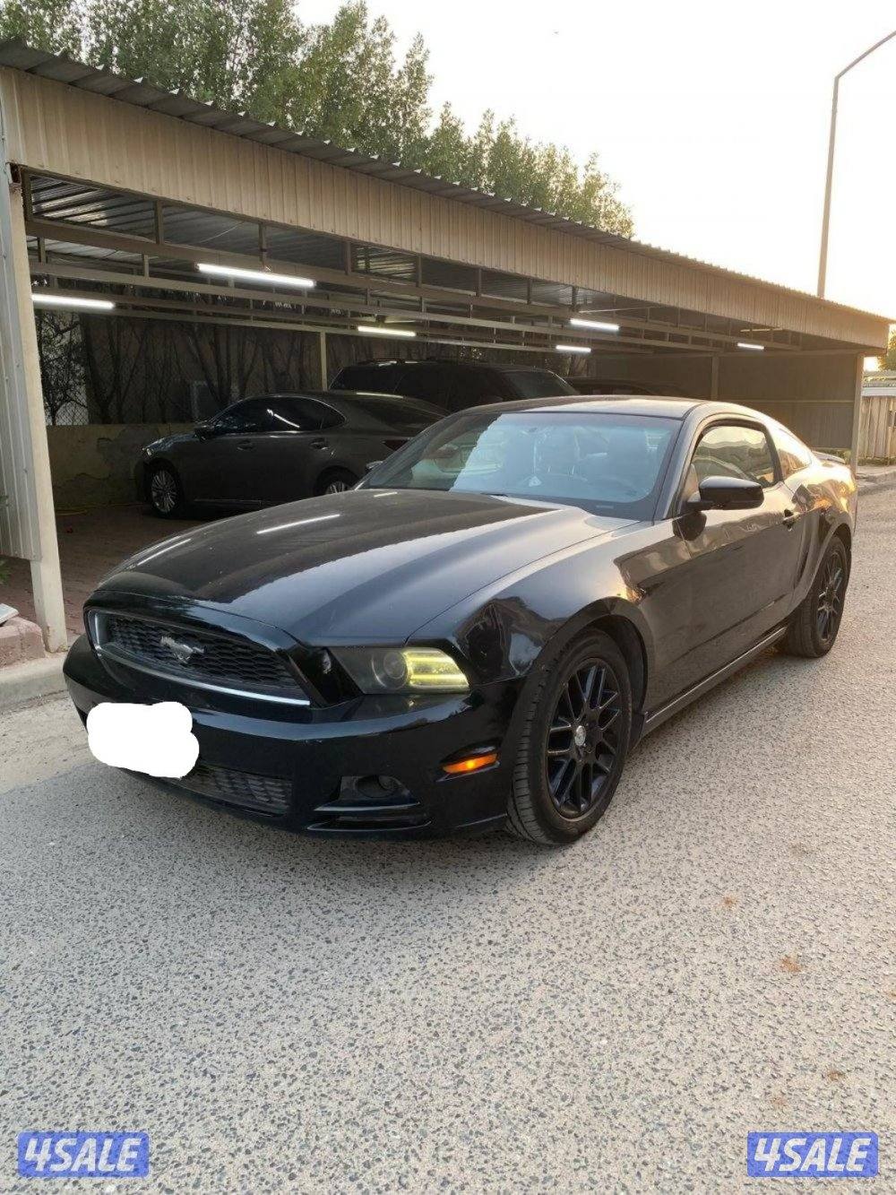 فورد موستنق 2014 مالك اول3