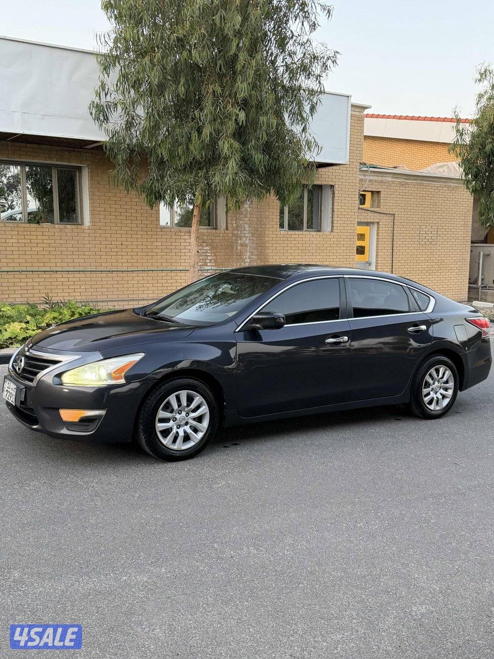 للبيع التيما ٢٠١٦2