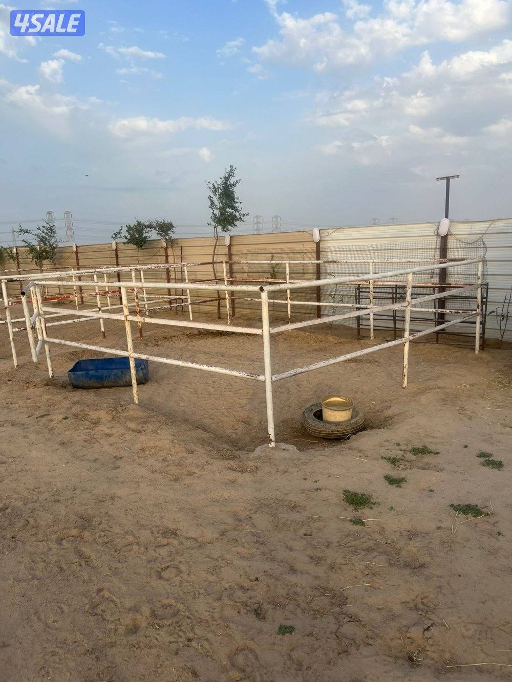 مقابل إسطبلات الفروانيه1