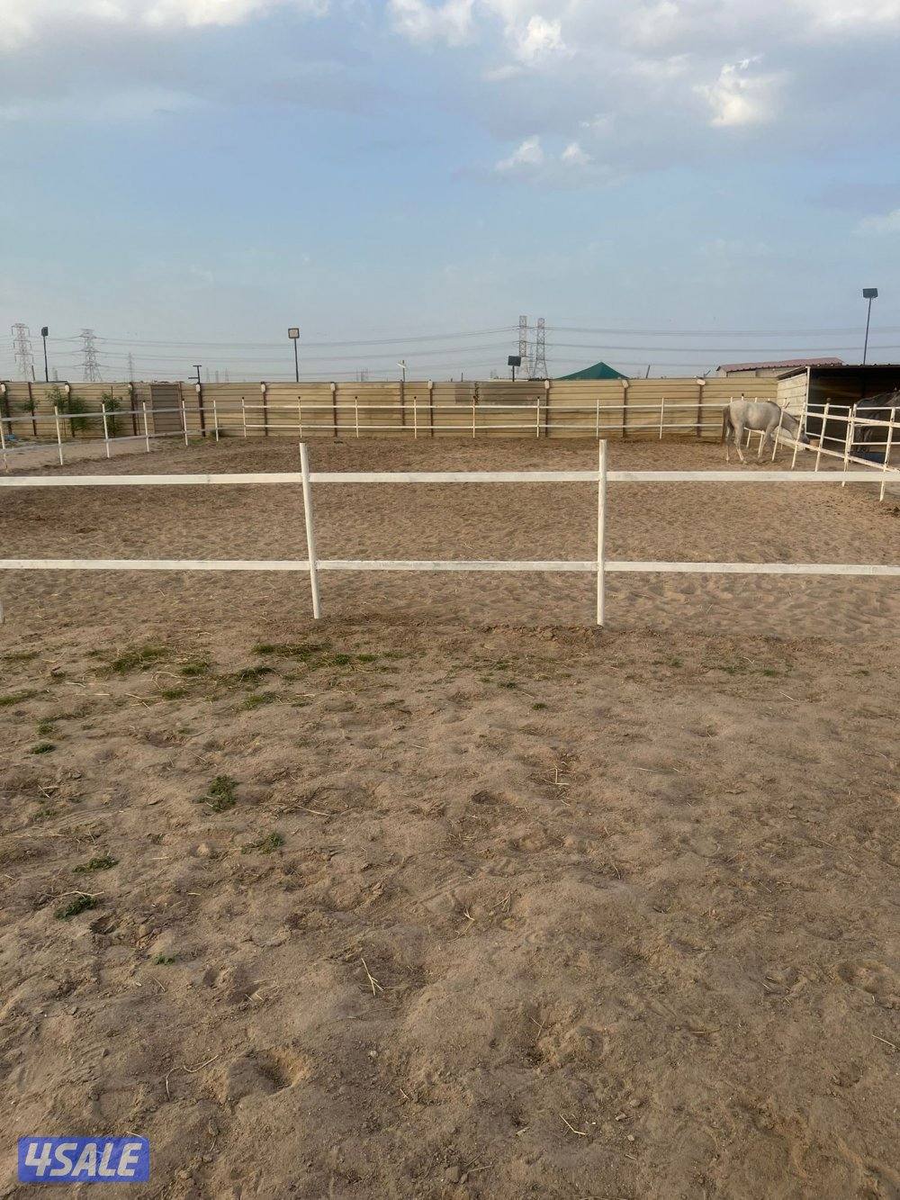 مقابل إسطبلات الفروانيه0