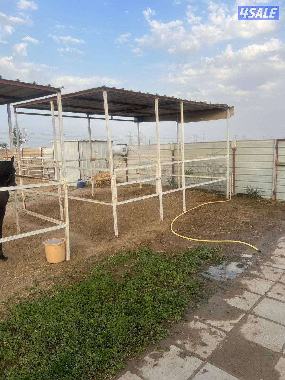 مقابل إسطبلات الفروانيه2