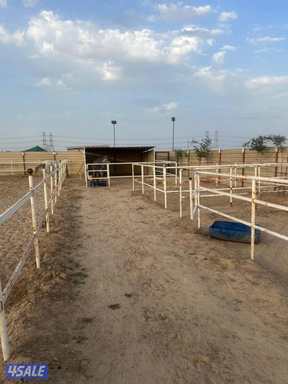 مقابل إسطبلات الفروانيه3