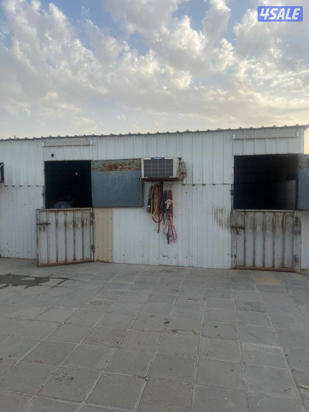 مقابل إسطبلات الفروانيه4