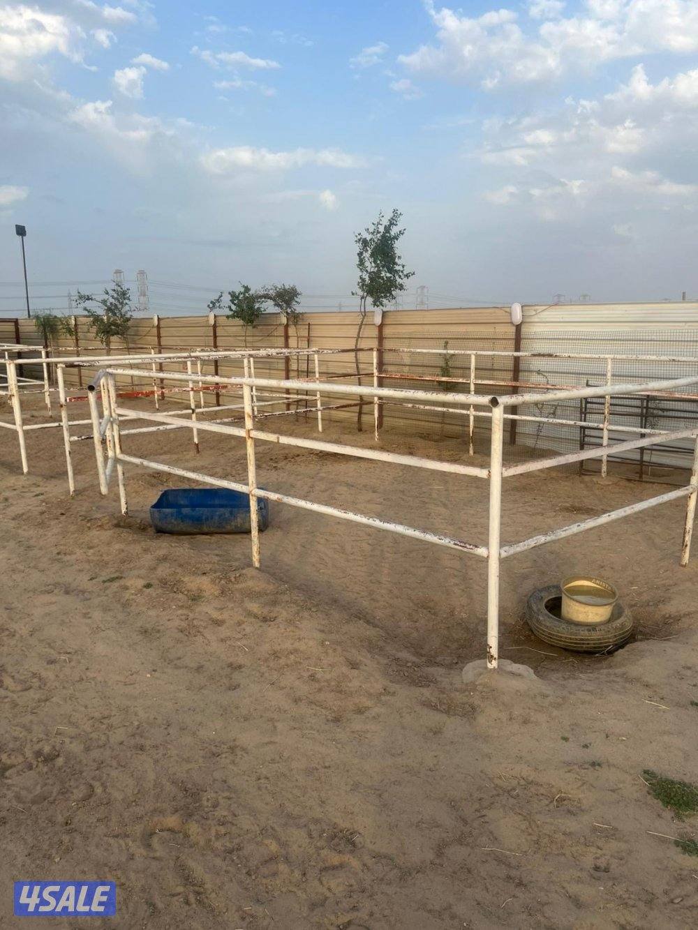 مقابل إسطبلات الفروانيه6