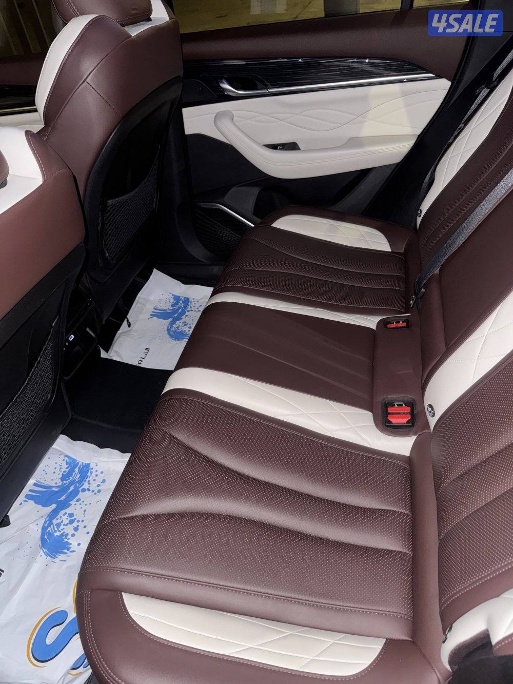 جيلي مونجارو 20236