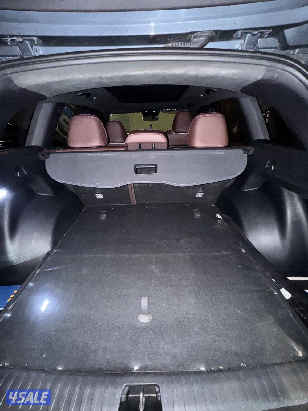 جيلي مونجارو 20239