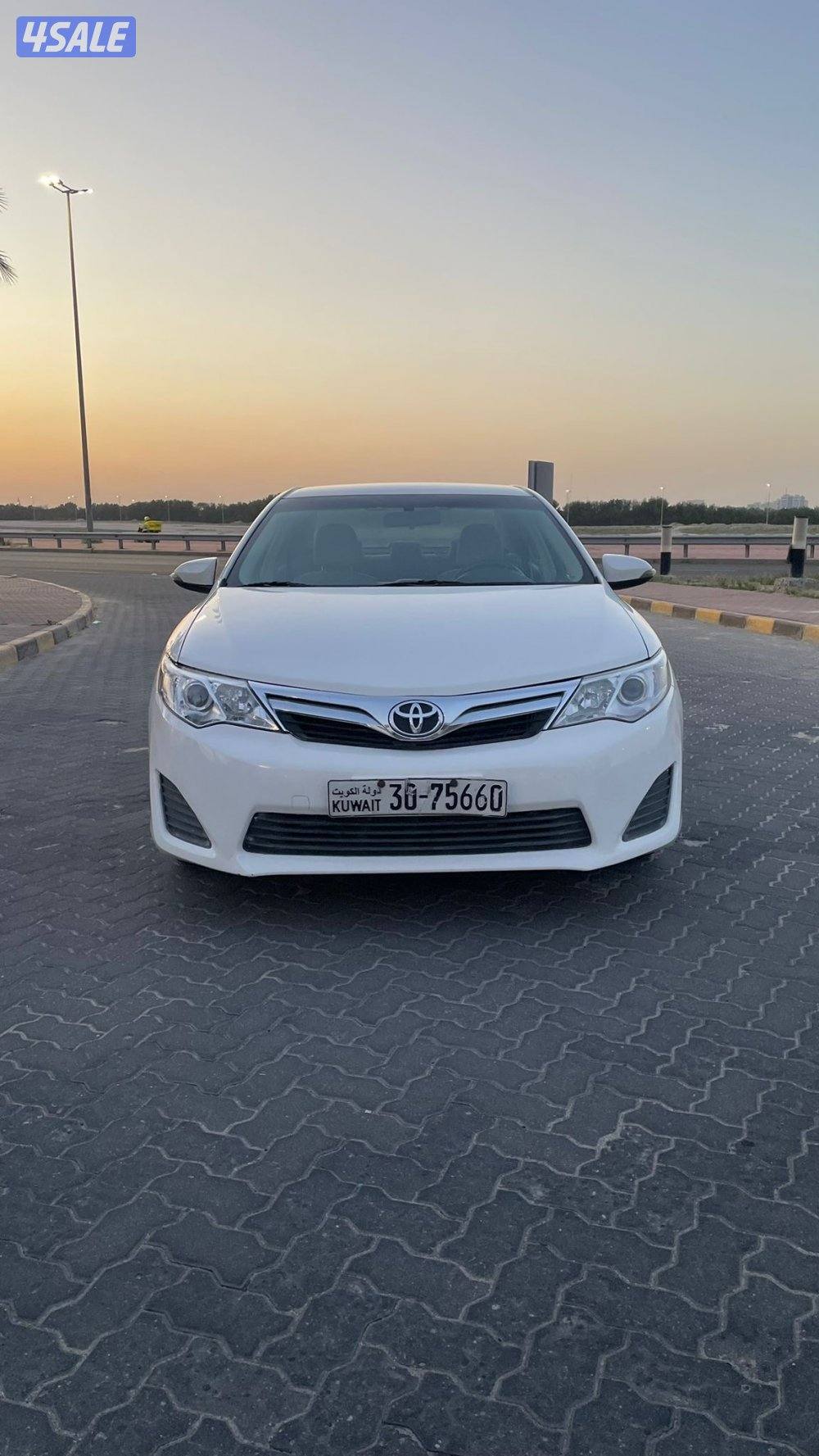 للمعاينة العارضية الحرفية0