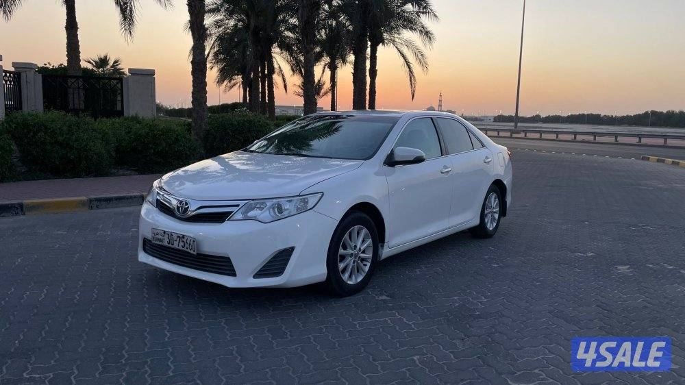 للمعاينة العارضية الحرفية1