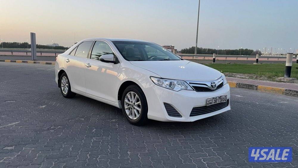 للمعاينة العارضية الحرفية2