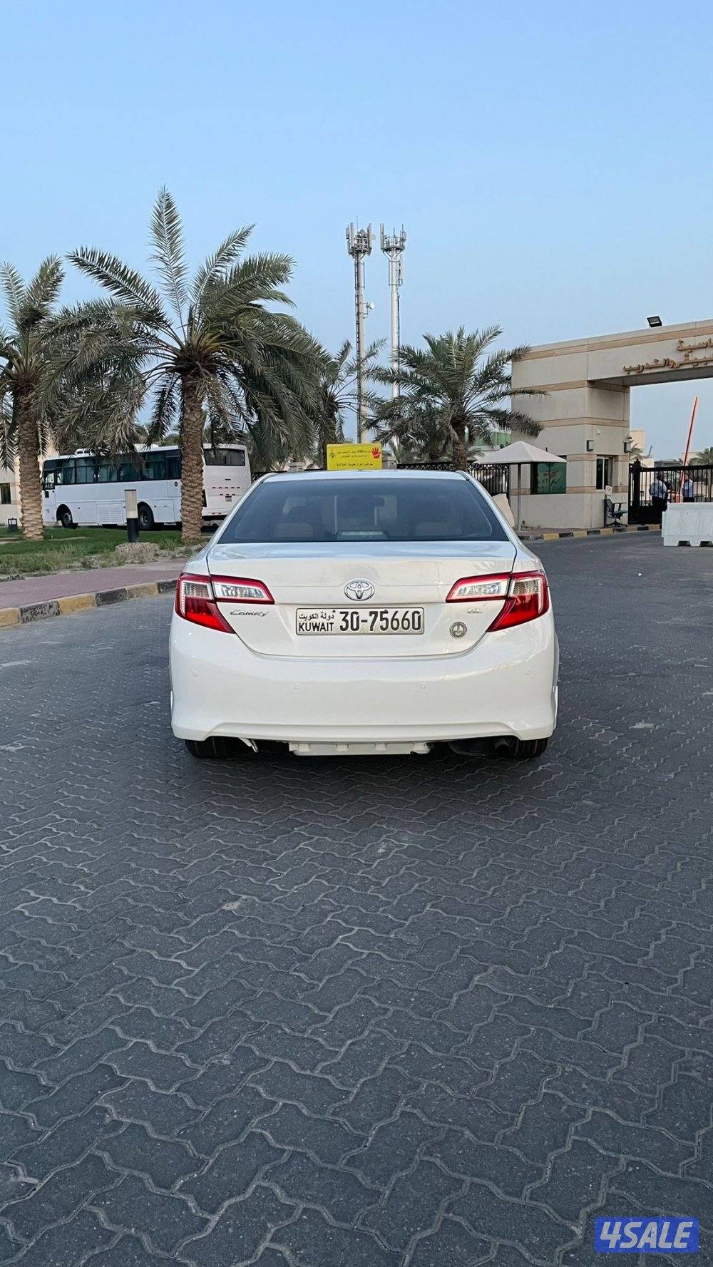 للمعاينة العارضية الحرفية3