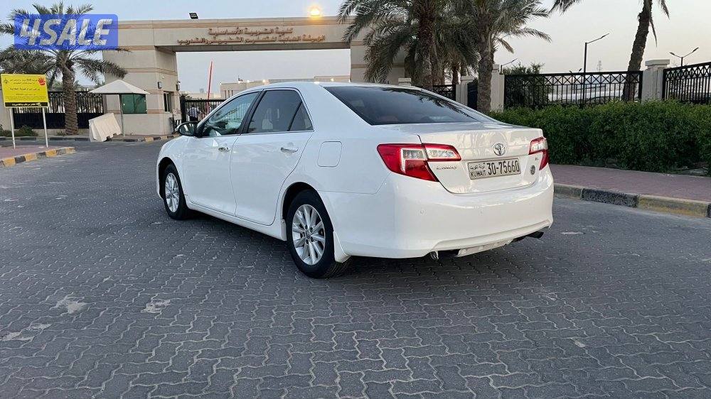 للمعاينة العارضية الحرفية4