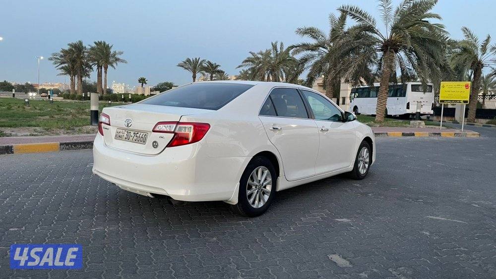 للمعاينة العارضية الحرفية5