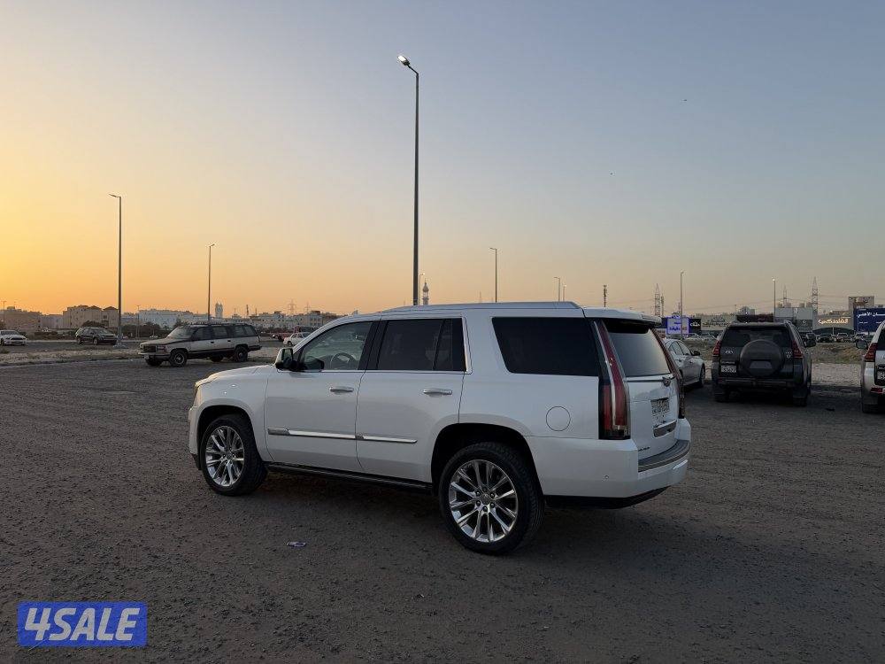 اسكاليد 2017 صبغ وكالة دبل قير0