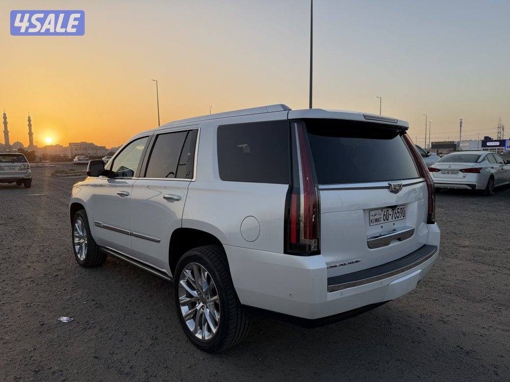 اسكاليد 2017 صبغ وكالة دبل قير4