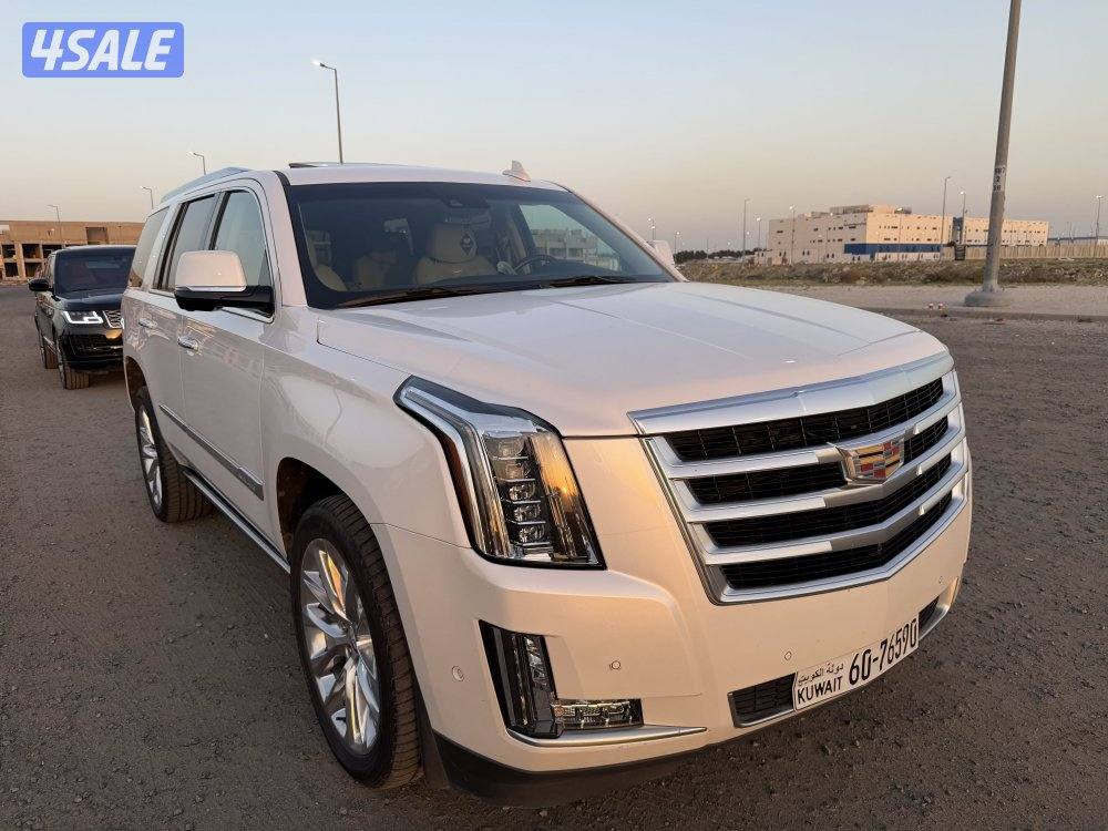 اسكاليد 2017 صبغ وكالة دبل قير13