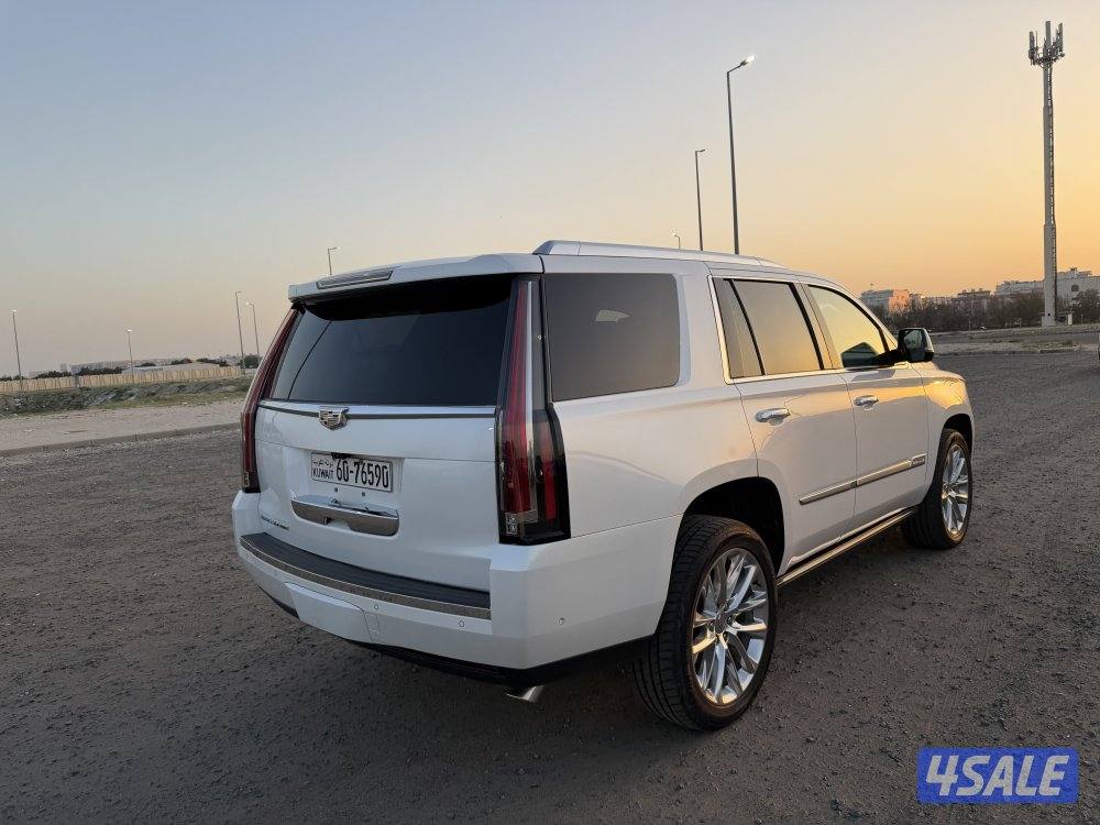 اسكاليد 2017 صبغ وكالة دبل قير15