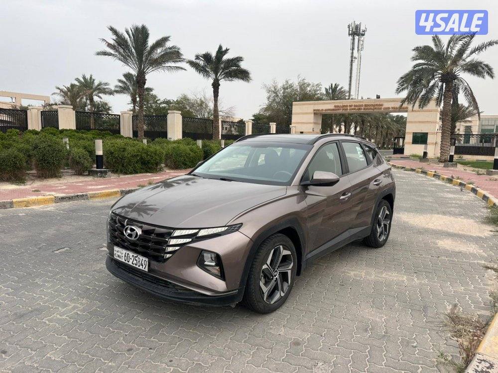 المعاينة العارضية الصناعية0