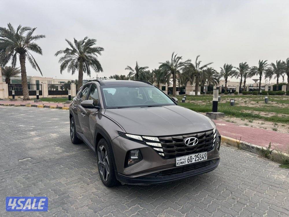 المعاينة العارضية الصناعية1