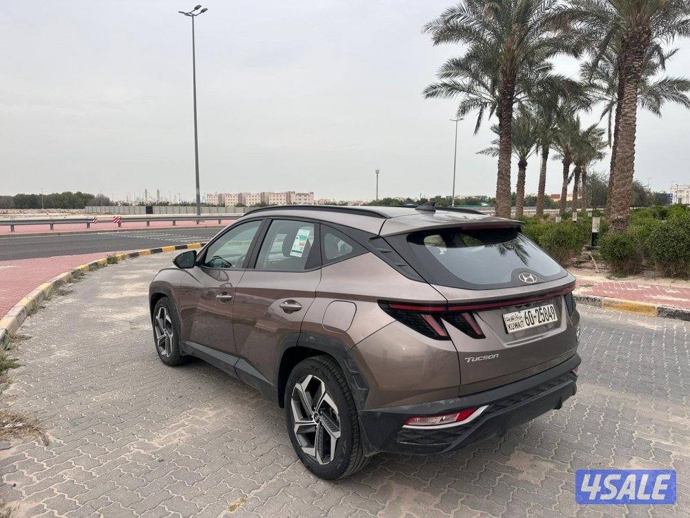 المعاينة العارضية الصناعية2