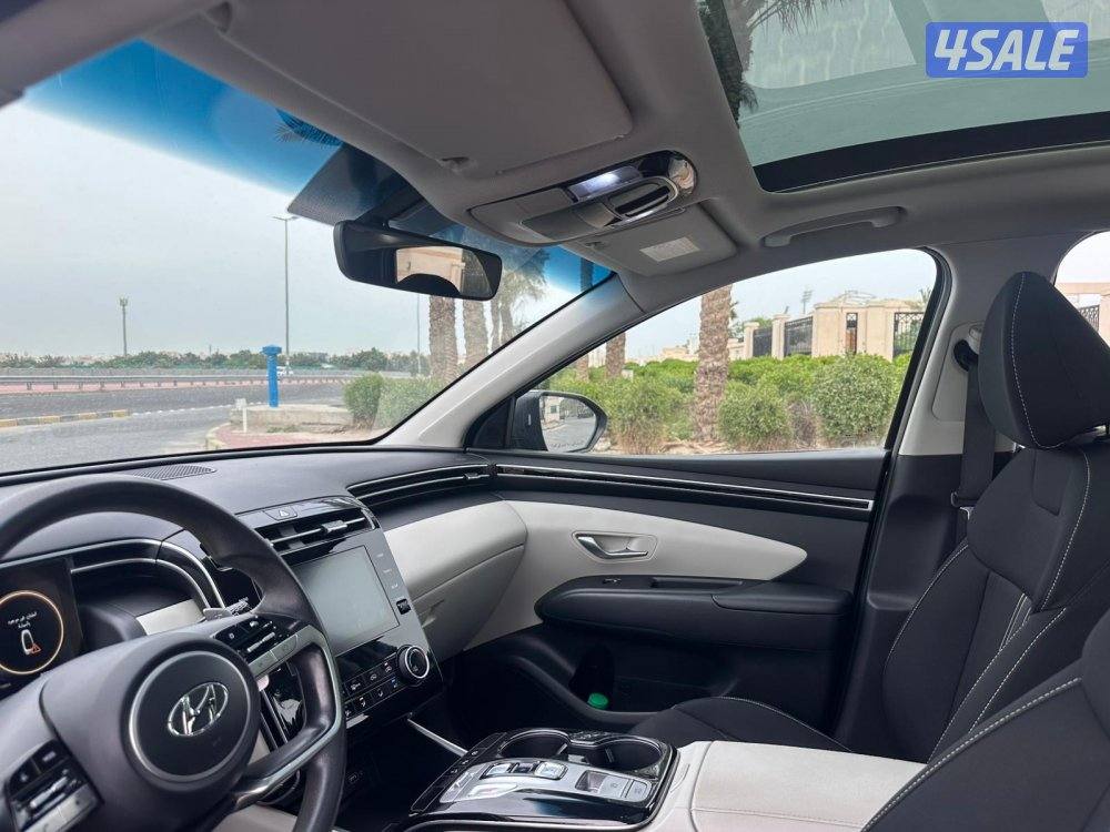 المعاينة العارضية الصناعية3