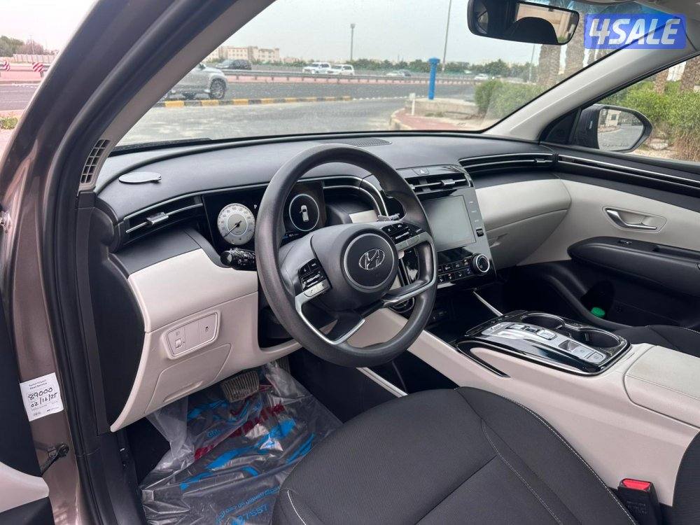 المعاينة العارضية الصناعية4