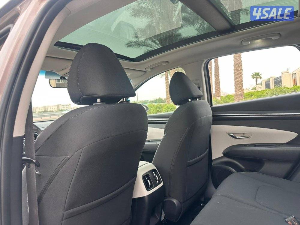 المعاينة العارضية الصناعية5