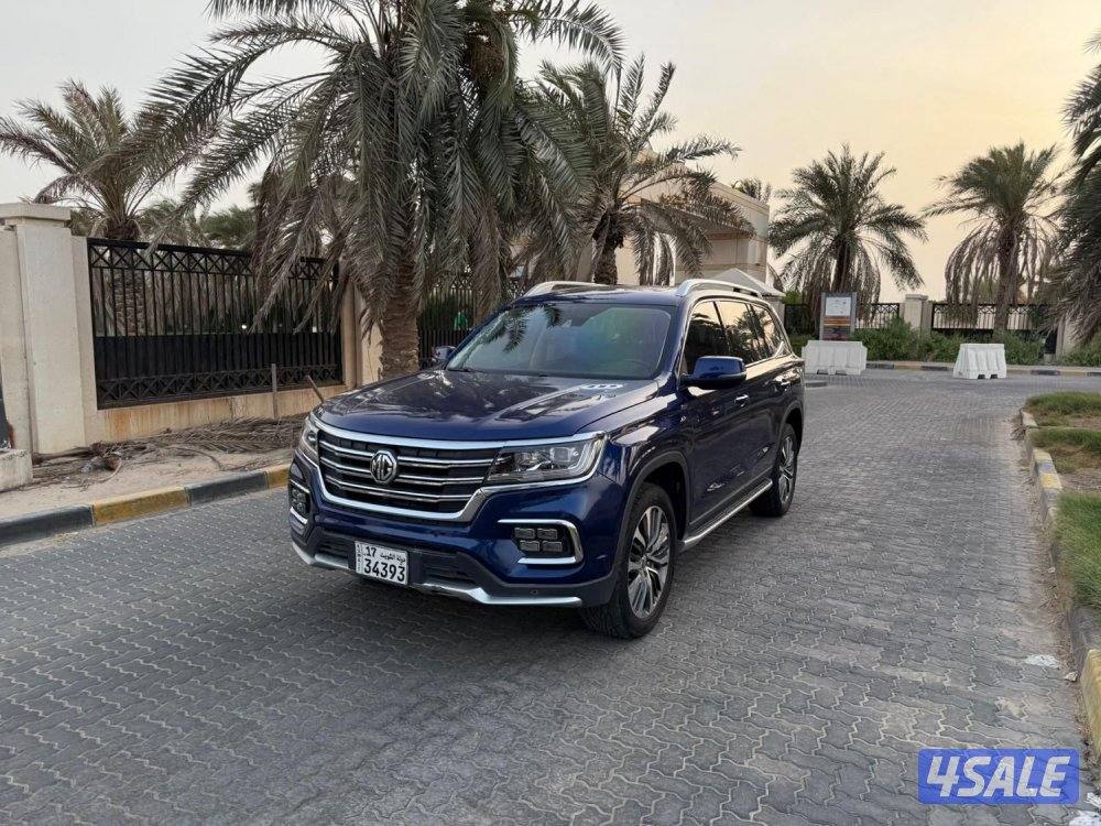 للمعاينة العارضية الحرفية0