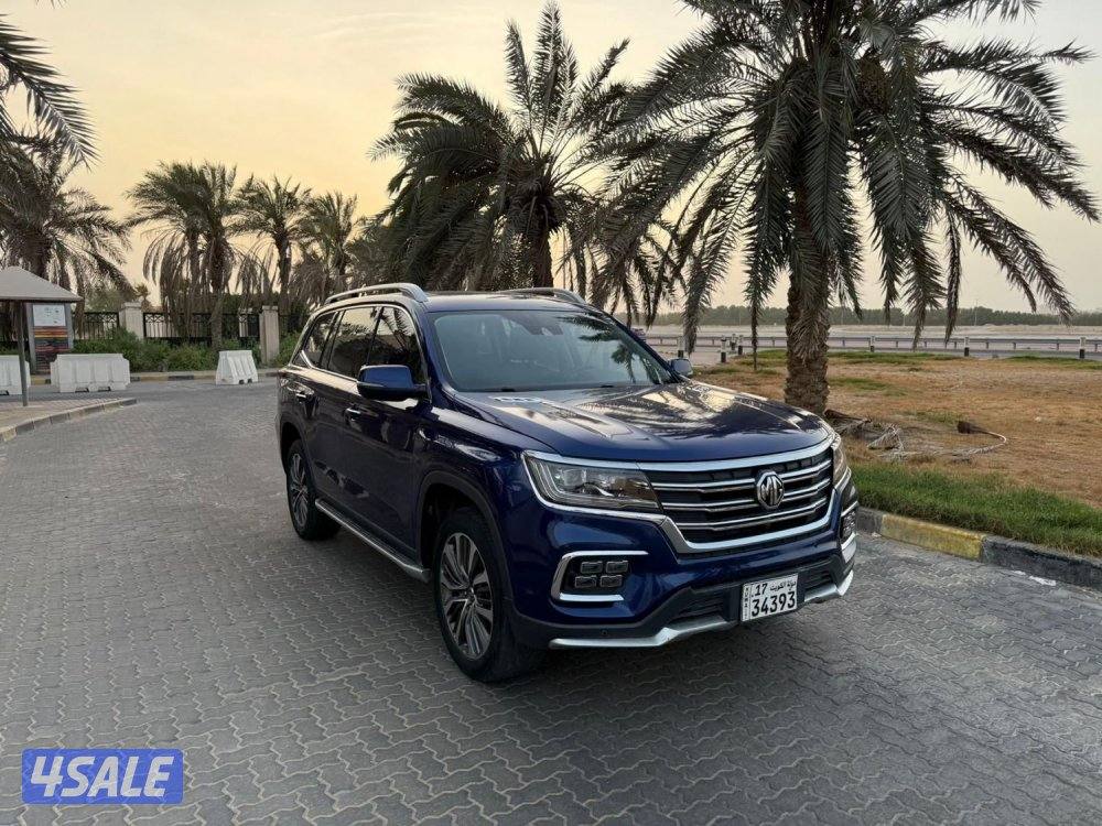 للمعاينة العارضية الحرفية1