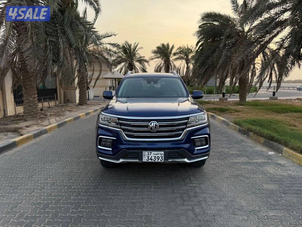 للمعاينة العارضية الحرفية2