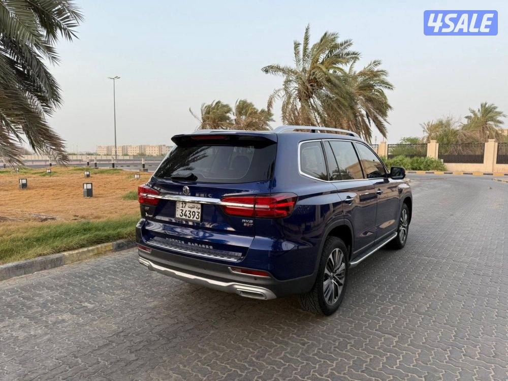 للمعاينة العارضية الحرفية3