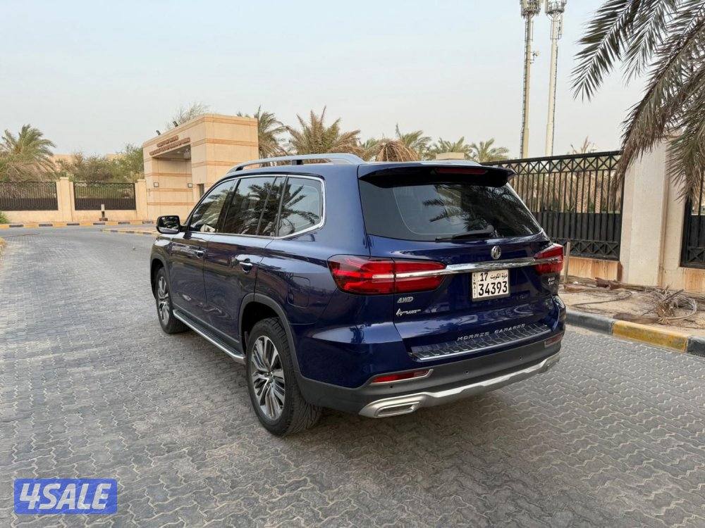 للمعاينة العارضية الحرفية4