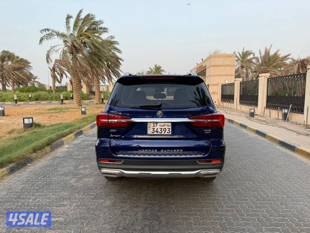 للمعاينة العارضية الحرفية5