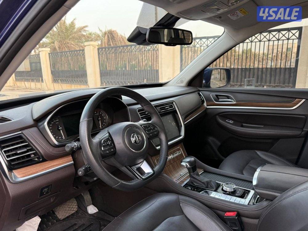 للمعاينة العارضية الحرفية6