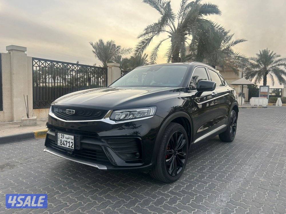 للمعاينة العارضية الحرفية0