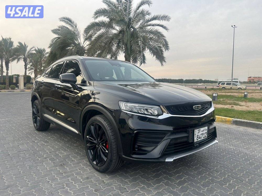 للمعاينة العارضية الحرفية1