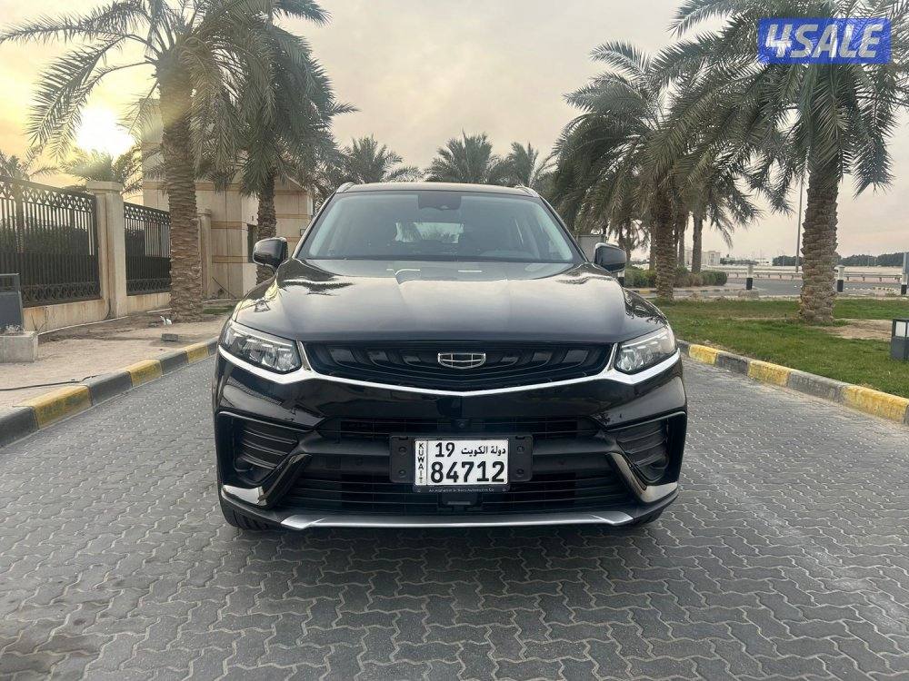 للمعاينة العارضية الحرفية2