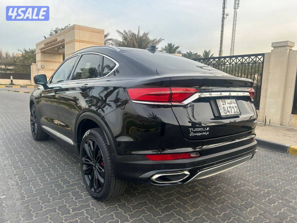 للمعاينة العارضية الحرفية3