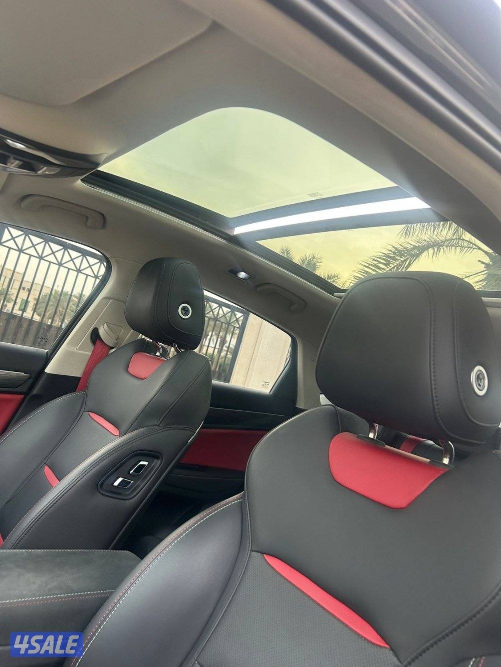 للمعاينة العارضية الحرفية8