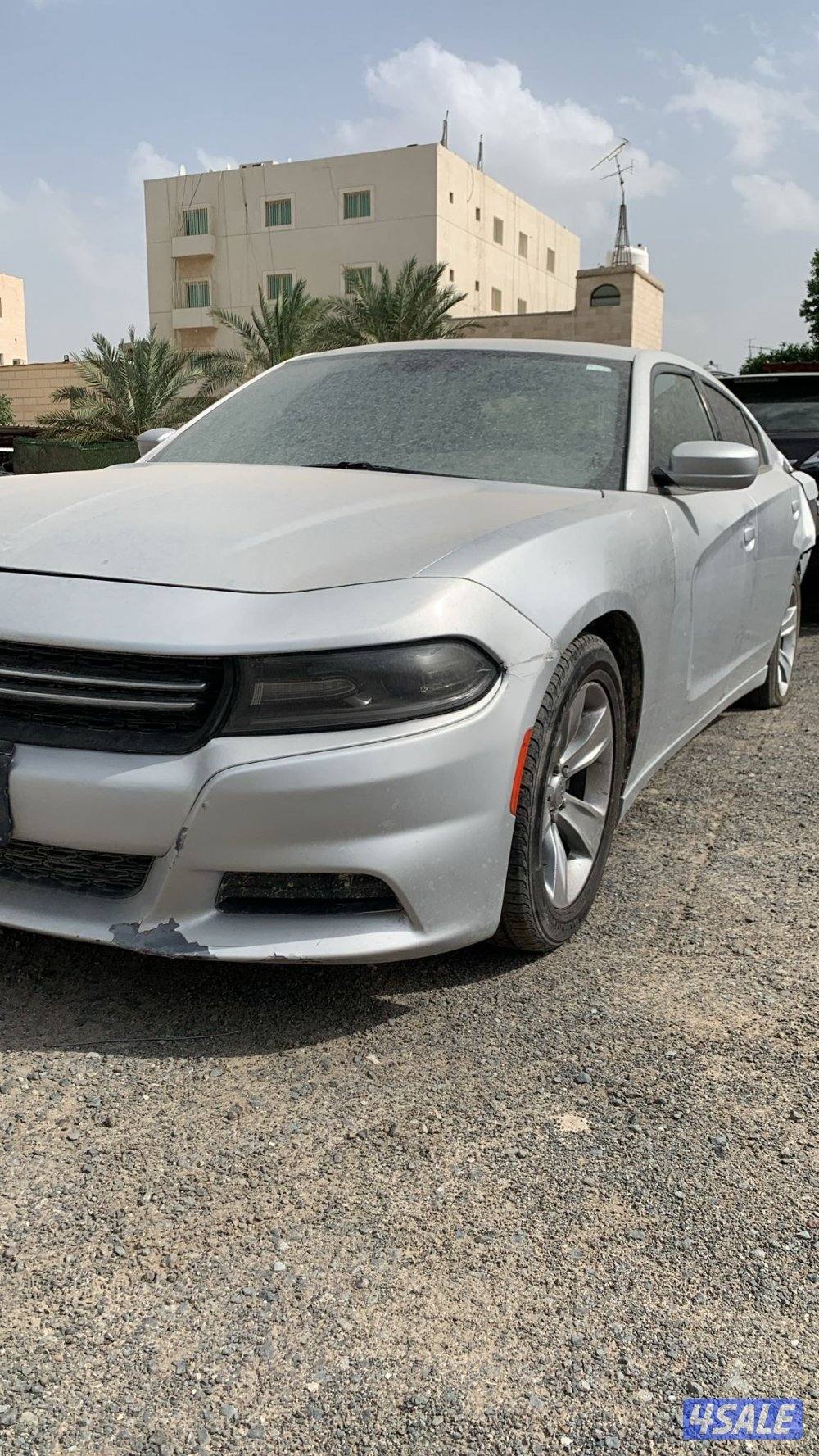 للبيع دوج تسقيط0