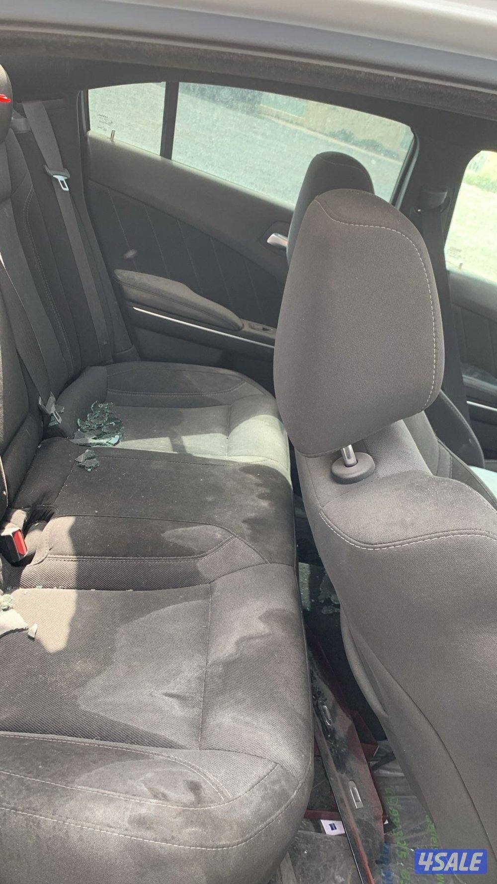 للبيع دوج تسقيط3