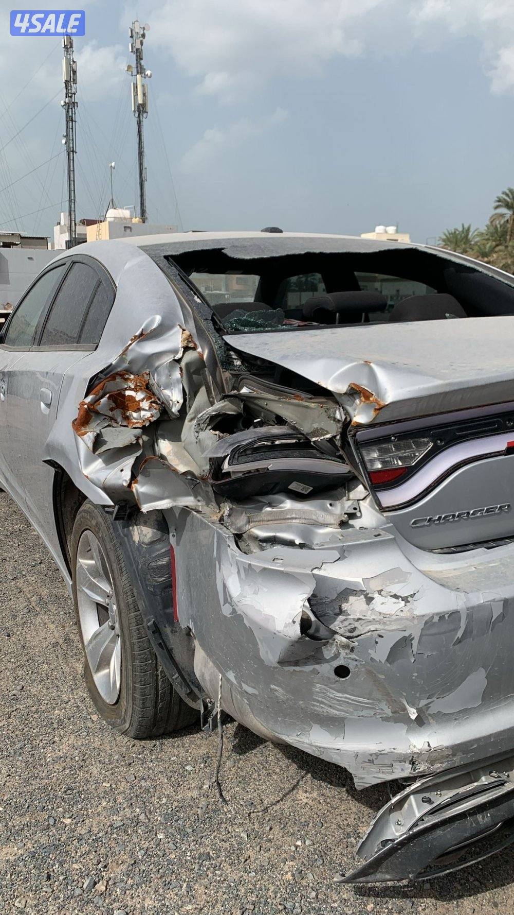 للبيع دوج تسقيط2