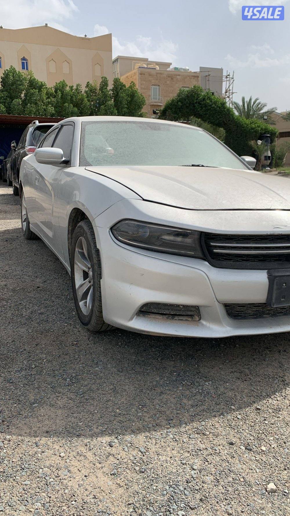 للبيع دوج تسقيط4