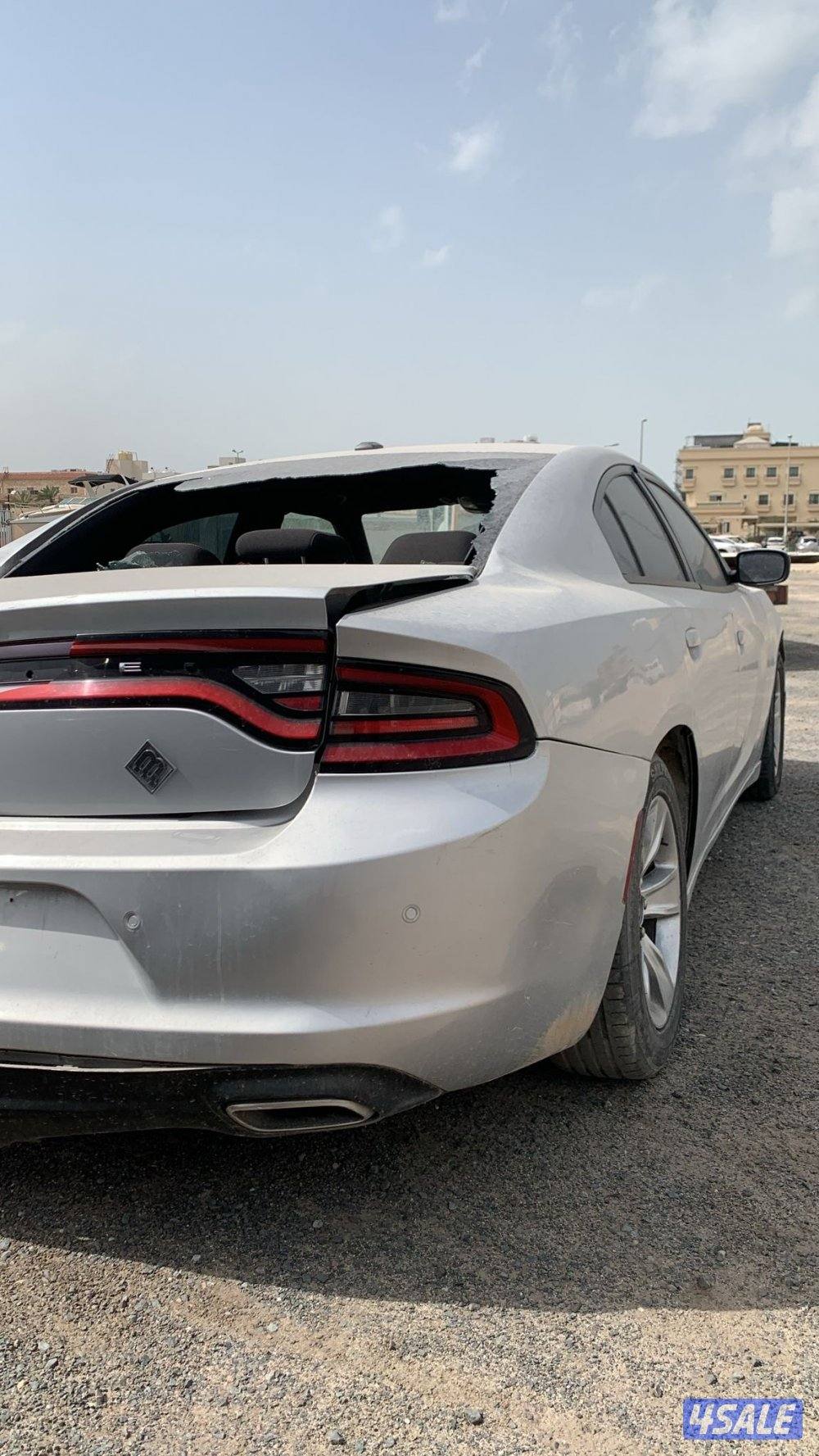 للبيع دوج تسقيط5