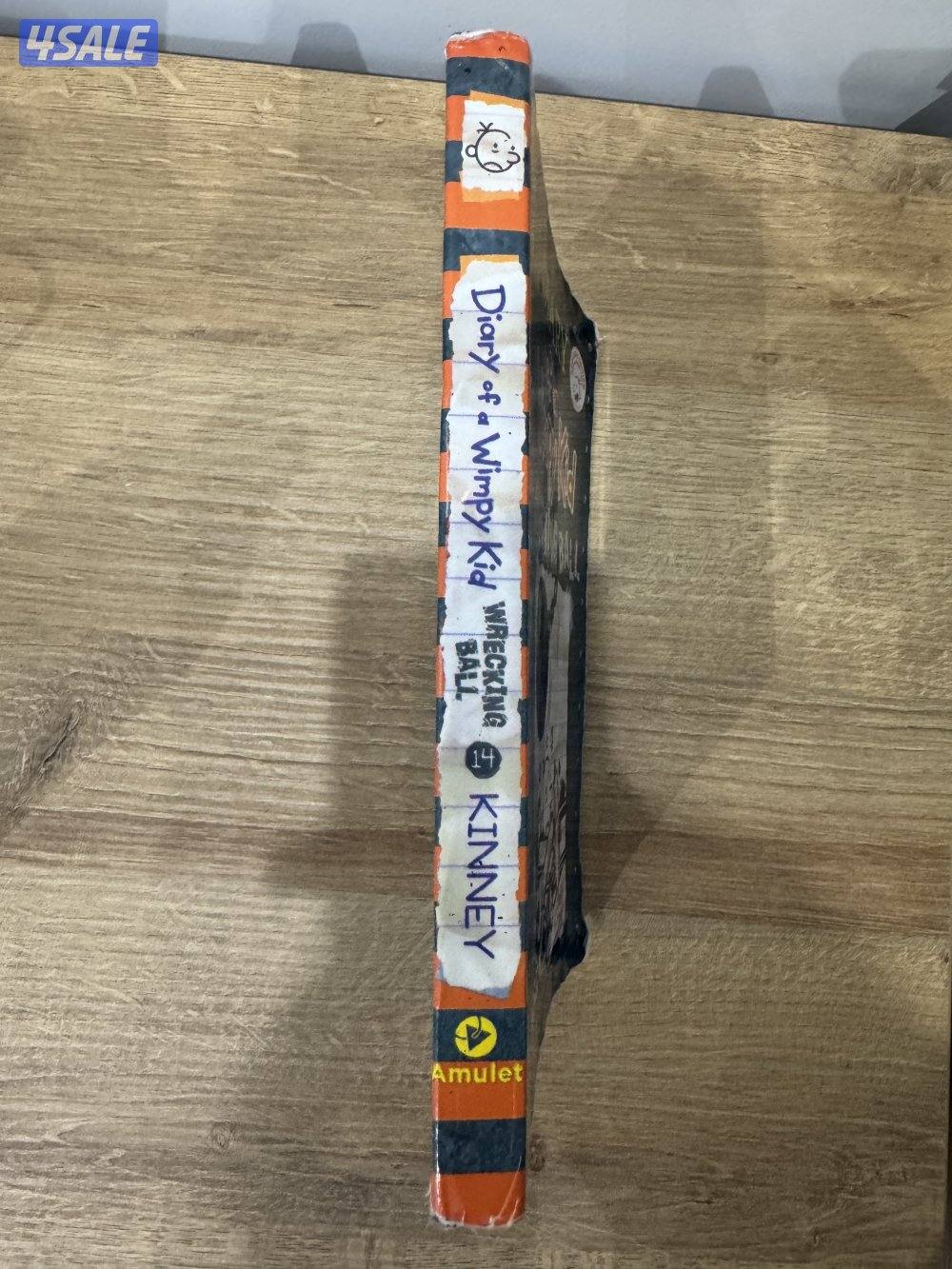 Diary of a wimpy kid wrecking ball2