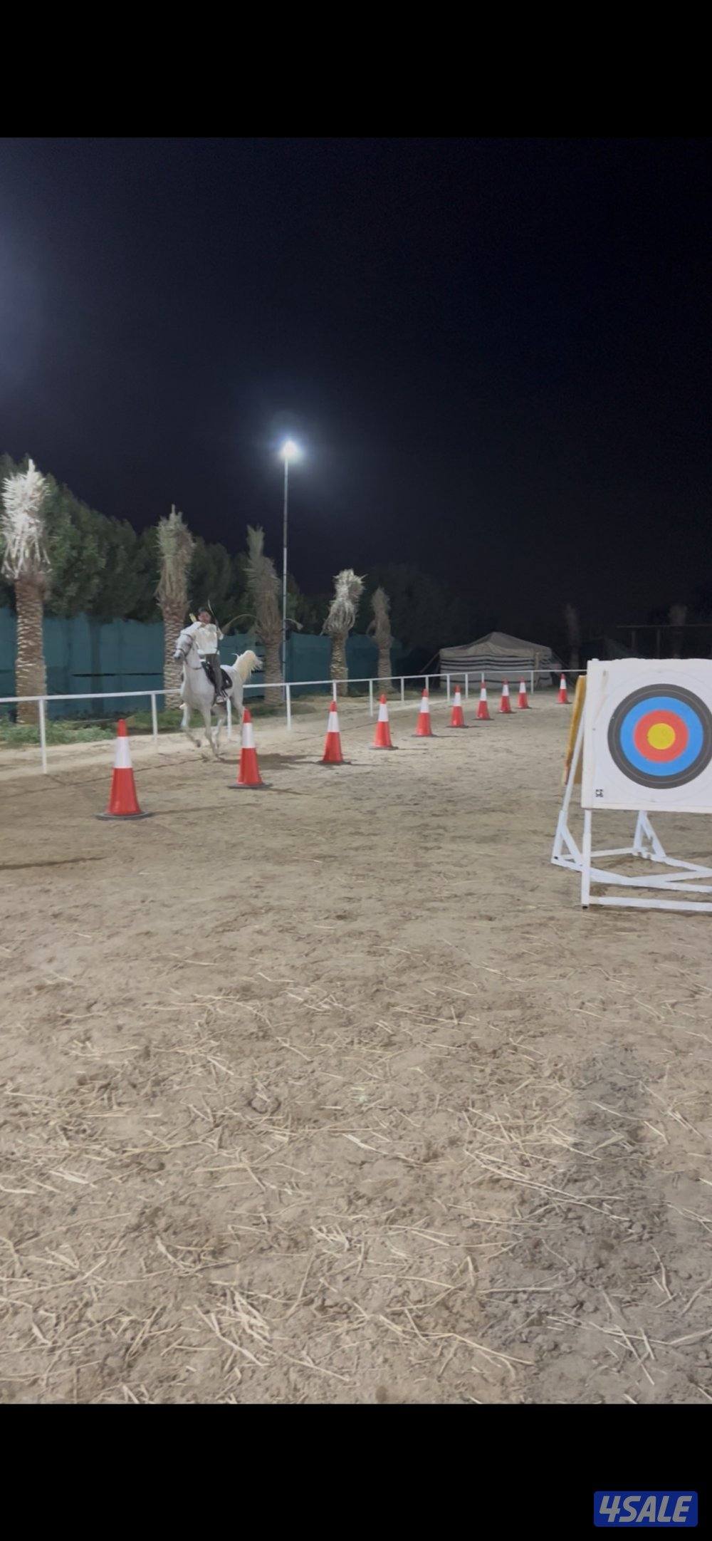 مركز النشمي للفروسية5