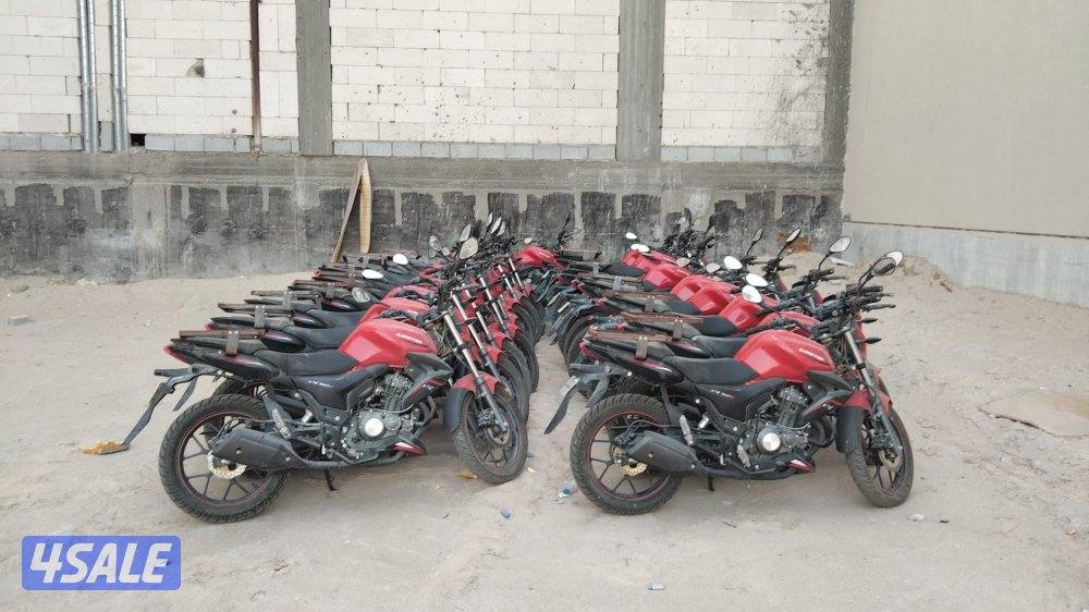 جليب الشيوخ ق20