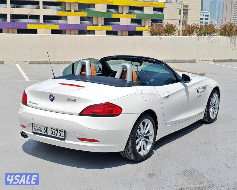 Z4 - 2015 / صبغ وكاله2