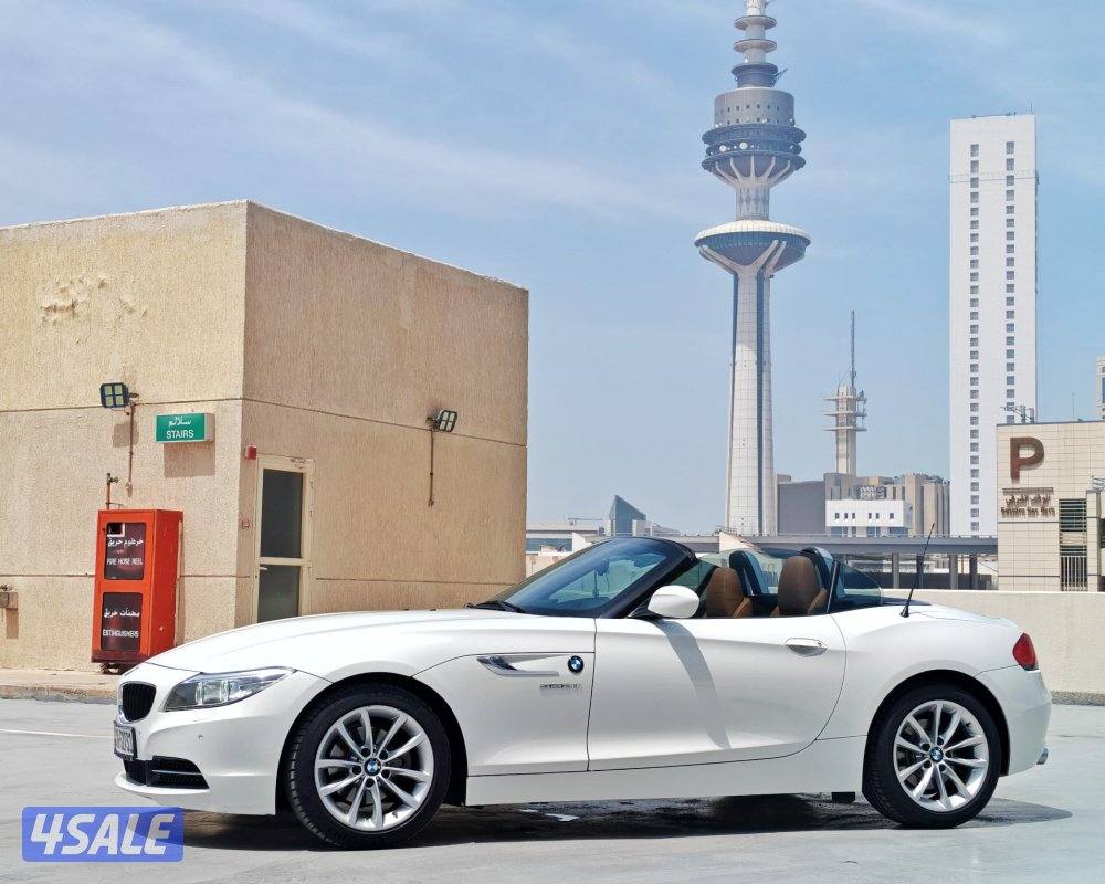 Z4 - 2015 / صبغ وكاله5