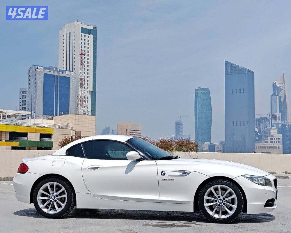 Z4 - 2015 / صبغ وكاله14