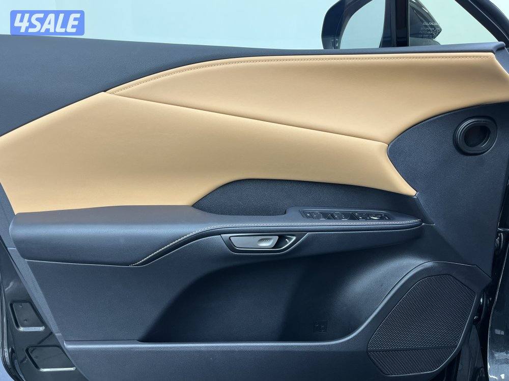 LEXUS RX350 PREMIER10